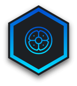 A hexagon icon with blue gradient borders and grey interior. There is blue border icon of a shield inside of the hexagon.